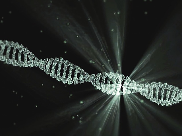 Extrachromosomal DNA: A New Frontier in Cancer Genetics