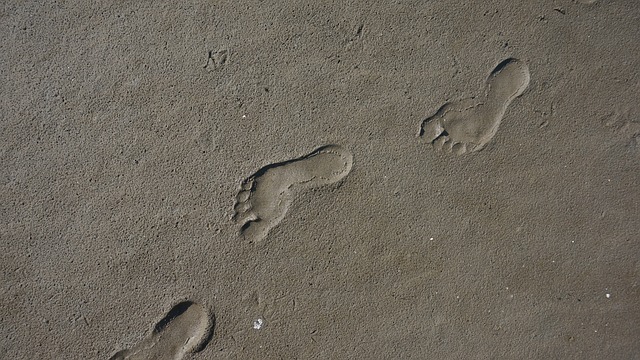 Dinosaur Highway Unearthed in Oxfordshire: 166 Million-Year-Old Footprints Discovered
