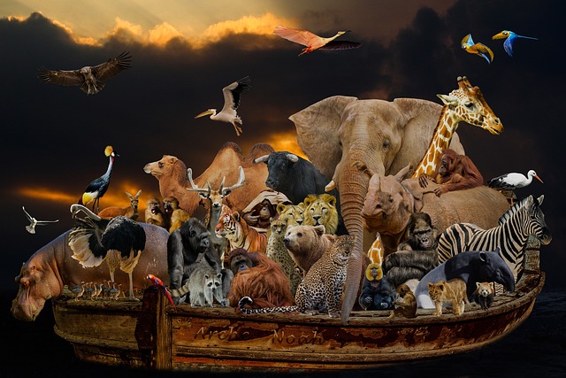 The Mystery of Noah’s Ark Location and Research