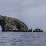 Penguin guano climate impact : Penguin Guano Climate Impact: How Poop Helps Cool Antarctica : Discover how penguin guano impacts the Antarctic climate. This research highlights the cooling effect of penguin poop on cloud formation.
