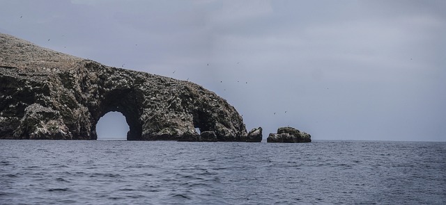 Penguin Guano’s Surprising Impact on Antarctic Climate