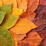 Coordinate Geometry Transformations : Coordinate Geometry Transformations: Explained with Examples : Master Coordinate Geometry Transformations! This guide provides clear explanations and examples to help you understand rotations reflections and translations.