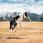 Fetch data API : Fetch Data API: How to Get Started : Learn how to fetch data from an external API. Master the basics of data retrieval with this helpful guide!