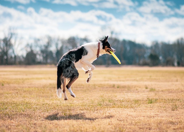 How to Fetch Data from an External API