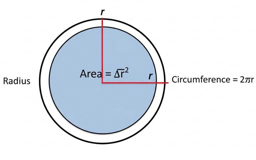 Calculate Circle Area and Circumference