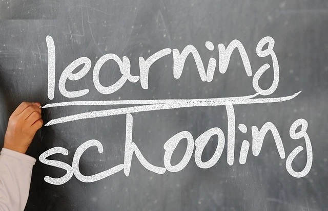 From Lab Bench to Career Success: How CBSE Class 11 Practical Chemistry Builds Future Scientists