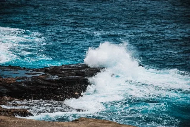 North Atlantic warming hole atmospheric dynamics vs AMOC slowdown