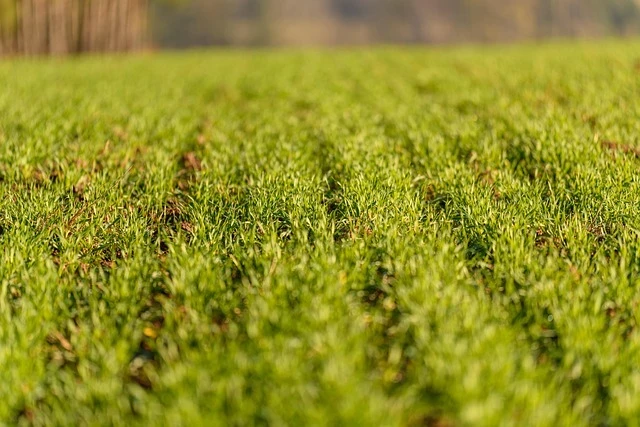 Sustainable Crop Protection: The Chemistry Behind the 2026 ACS Green Chemistry Award Winners